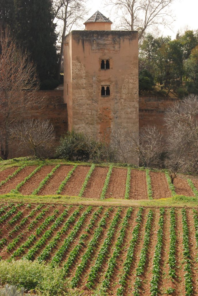 El Patronato de la Alhambra y Generalife destina los productos de sus huertas a entidades con fines sociales