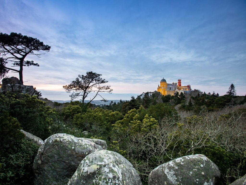 Parques de Sintra nominada a la “Mejor empresa del mundo en conservación” en los World Travel Awards 2020