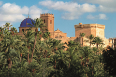 Elche_Expo_-10