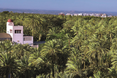 Elche_Expo_-7