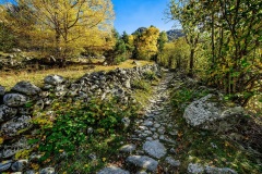VMPC_cami_tardor_02