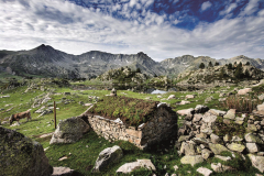 ValldeMadriu_Expo_-7