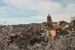 Calatayud_Expo_-5