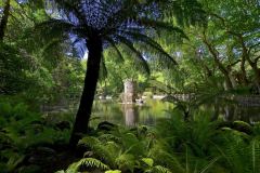 Parque-da-Pena.Fot_.-Julio-Cardoso