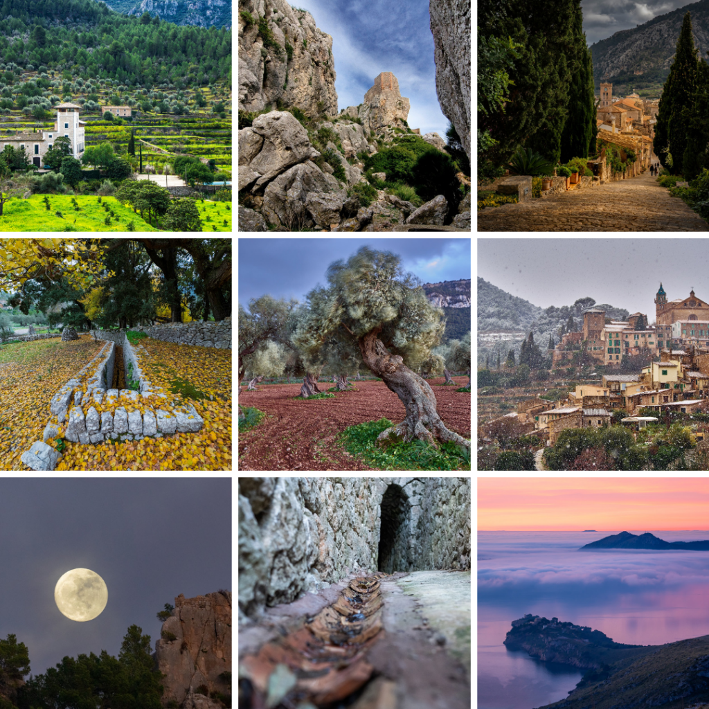 Los ganadores del II Certamen de Fotografía Serra de Tramuntana Patrimonio Mundial reciben sus galardones