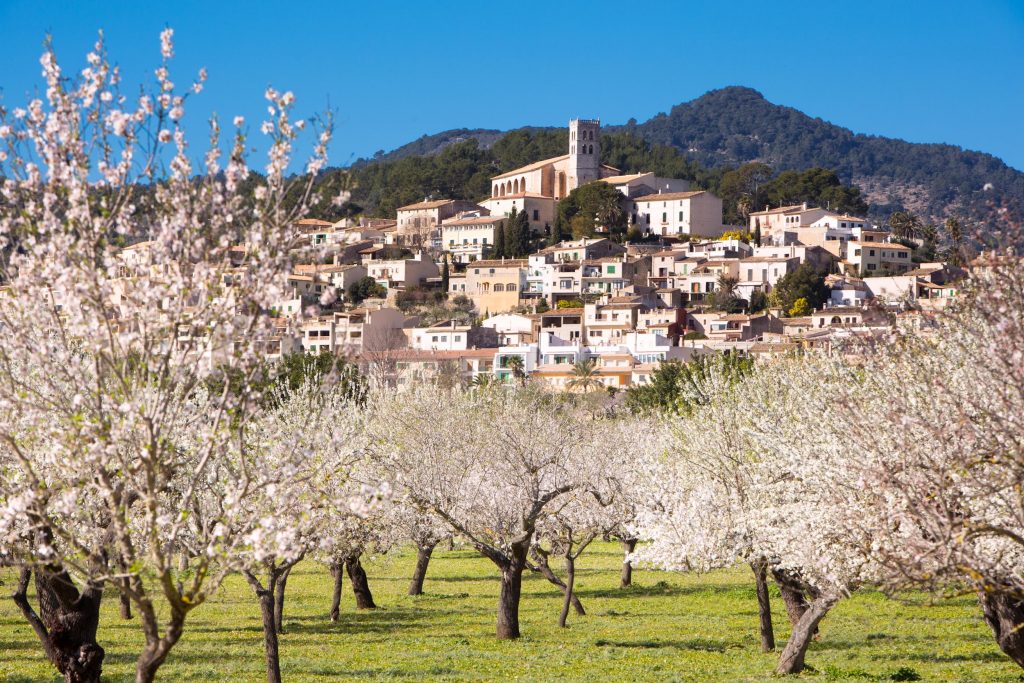 El Consorci Serra de Tramuntana Patrimoni Mundial destina un millón de euros para recuperar la economía de los municipios después de la covid-19
