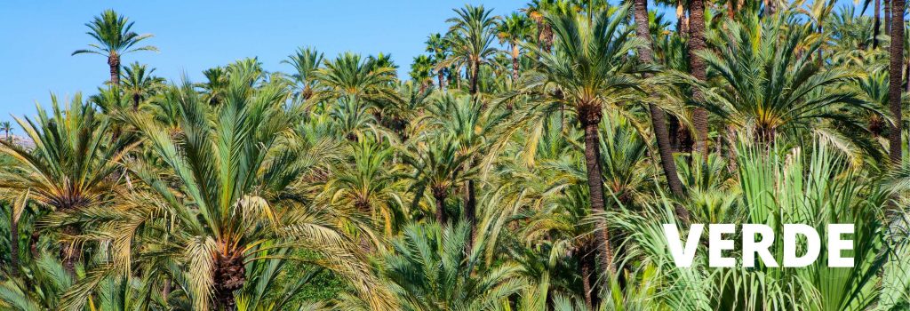 Elche. Un destino, mil colores.