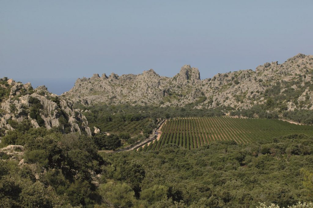 El Consell de Mallorca presenta la futura ley de la Serra de Tramuntana para proteger el paisaje cultural y garantizar su viabilidad económica