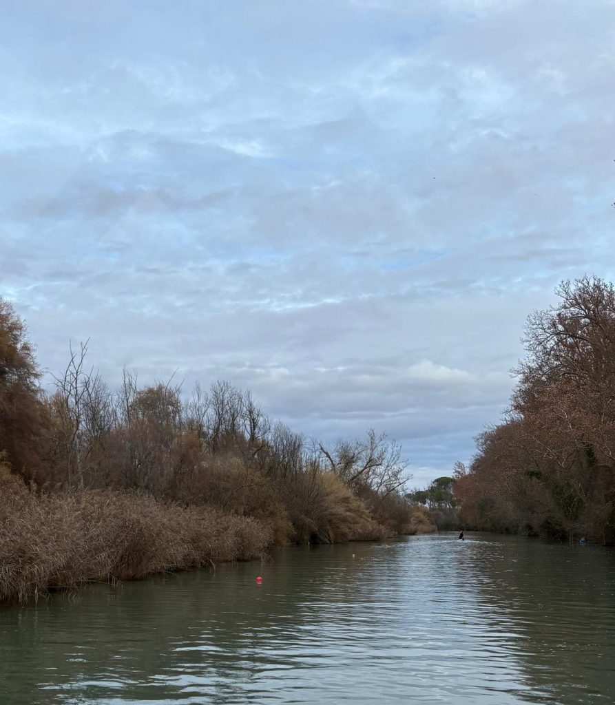 Aranjuez celebra su XXIV aniversario como Paisaje Cultural Patrimonio de la Humanidad con gran participación ciudadana